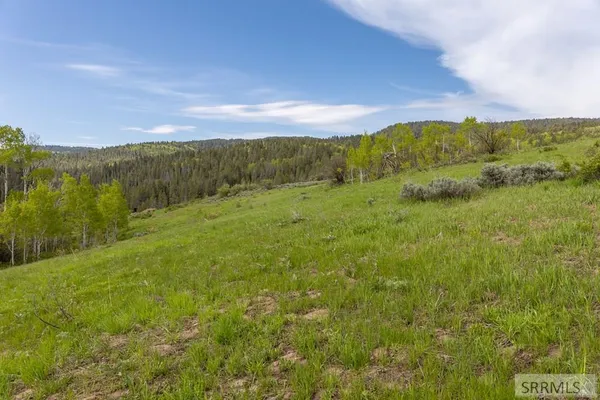 $375,000 | 0 Grouse Creek Loop, Wayan, ID 83285