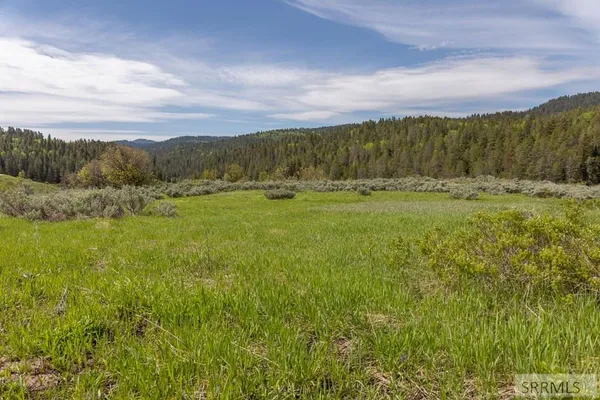 $375,000 | 0 Grouse Creek Loop, Wayan, ID 83285