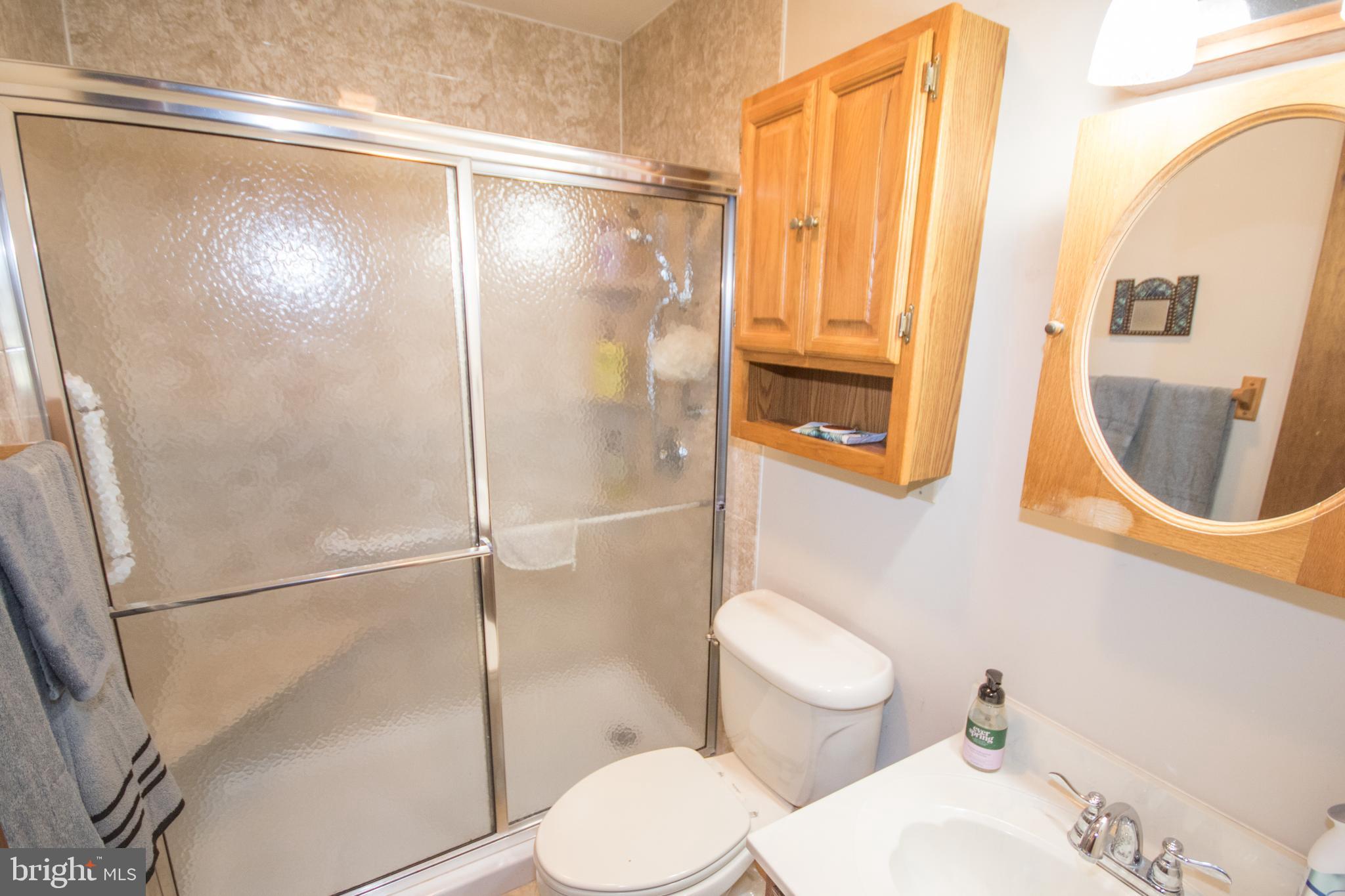 29325 West Line Road Delmar, MD 21875 - Photo 32 of 49 Master bathroom