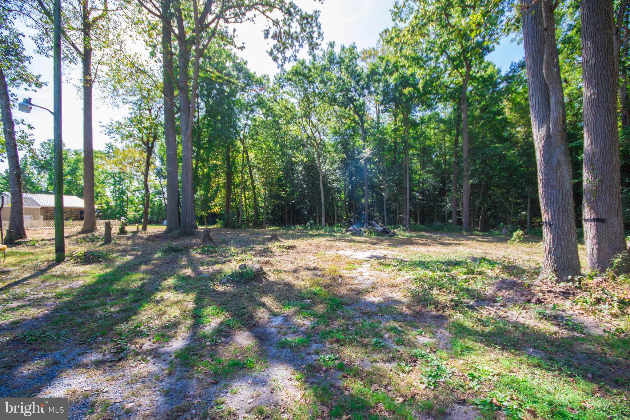 29325 West Line Road Delmar, MD 21875 - Photo 45 of 49 Backyard