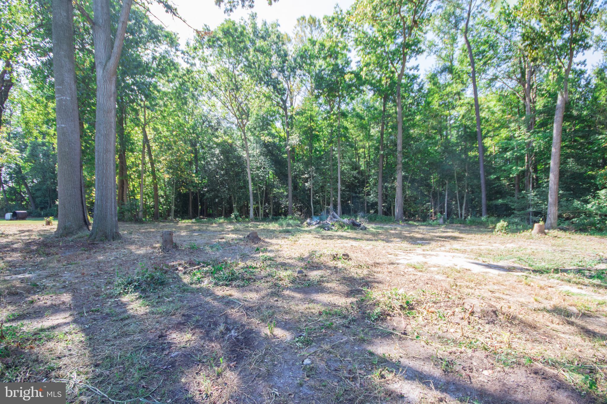29325 West Line Road Delmar, MD 21875 - Photo 46 of 49 Backyard