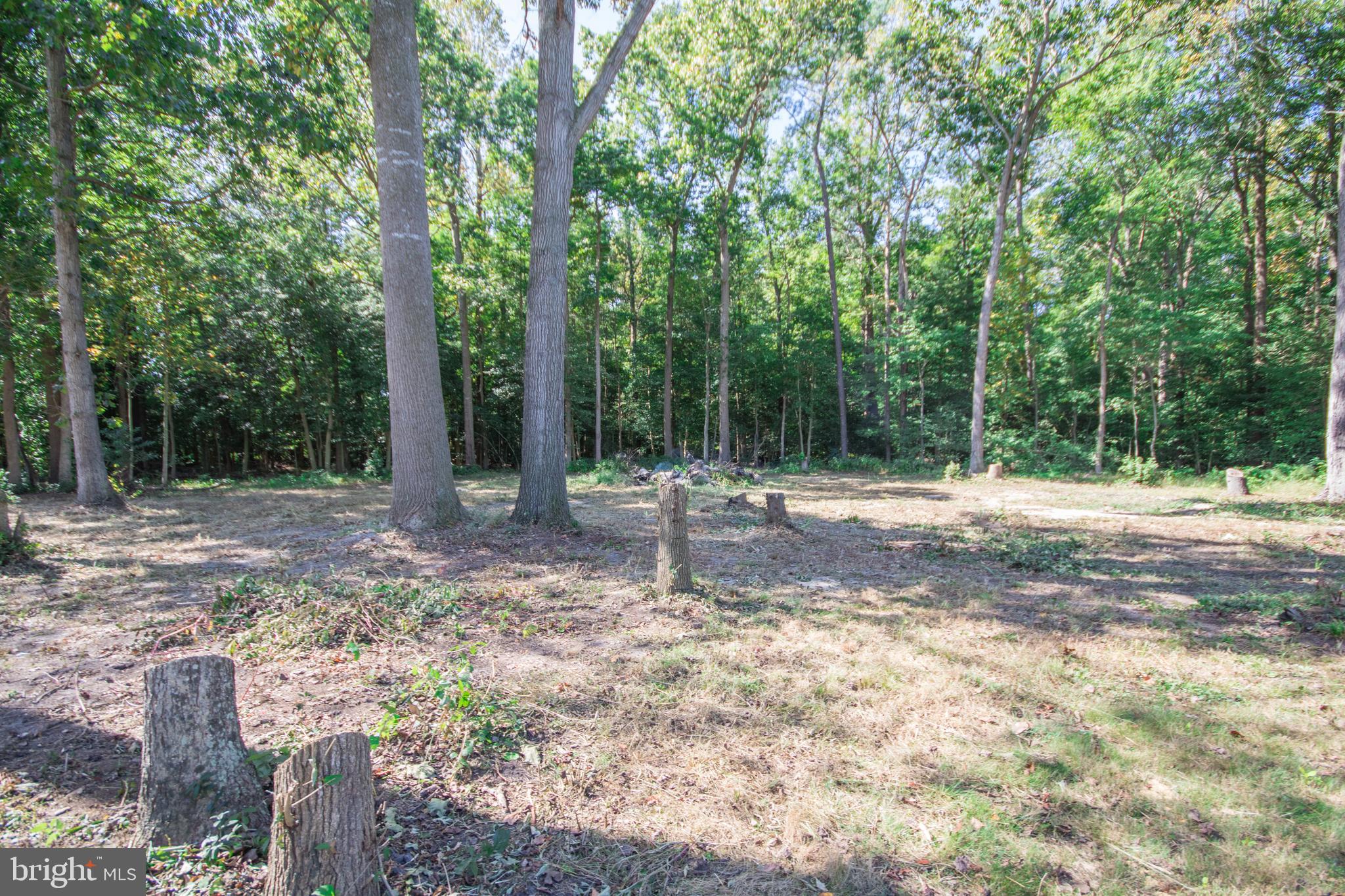 29325 West Line Road Delmar, MD 21875 - Photo 47 of 49 Backyard