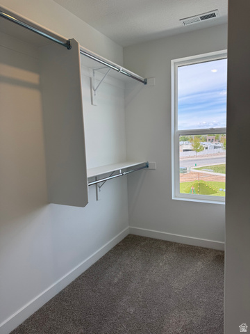 1883 West 1575th North, Unit 236 Layton, UT 84041 - Photo 19 of 22 Walk in closet with dark carpet