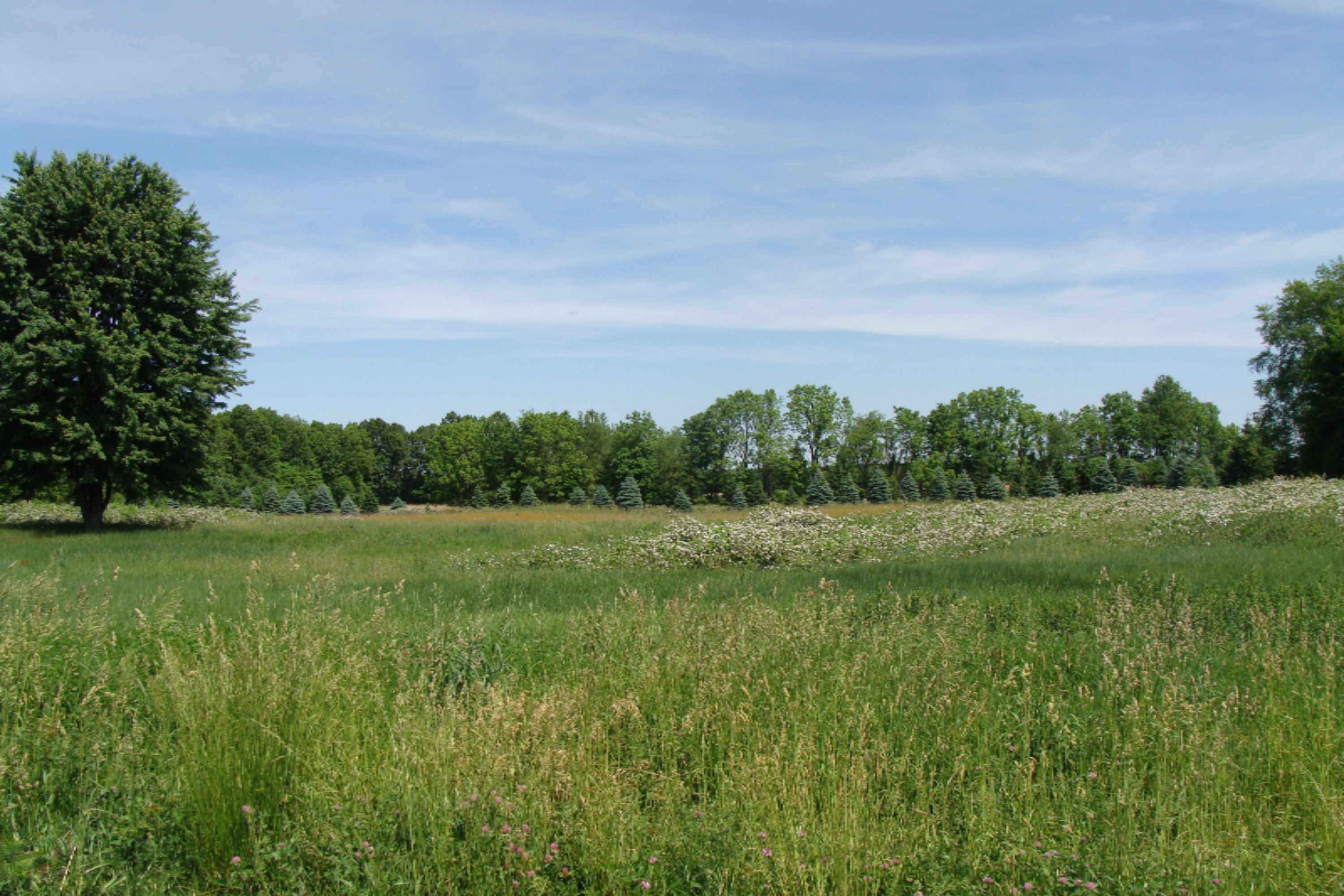 108 West Rose Road Coldwater, MI 49036 - Photo 11 of 11 DSC02093