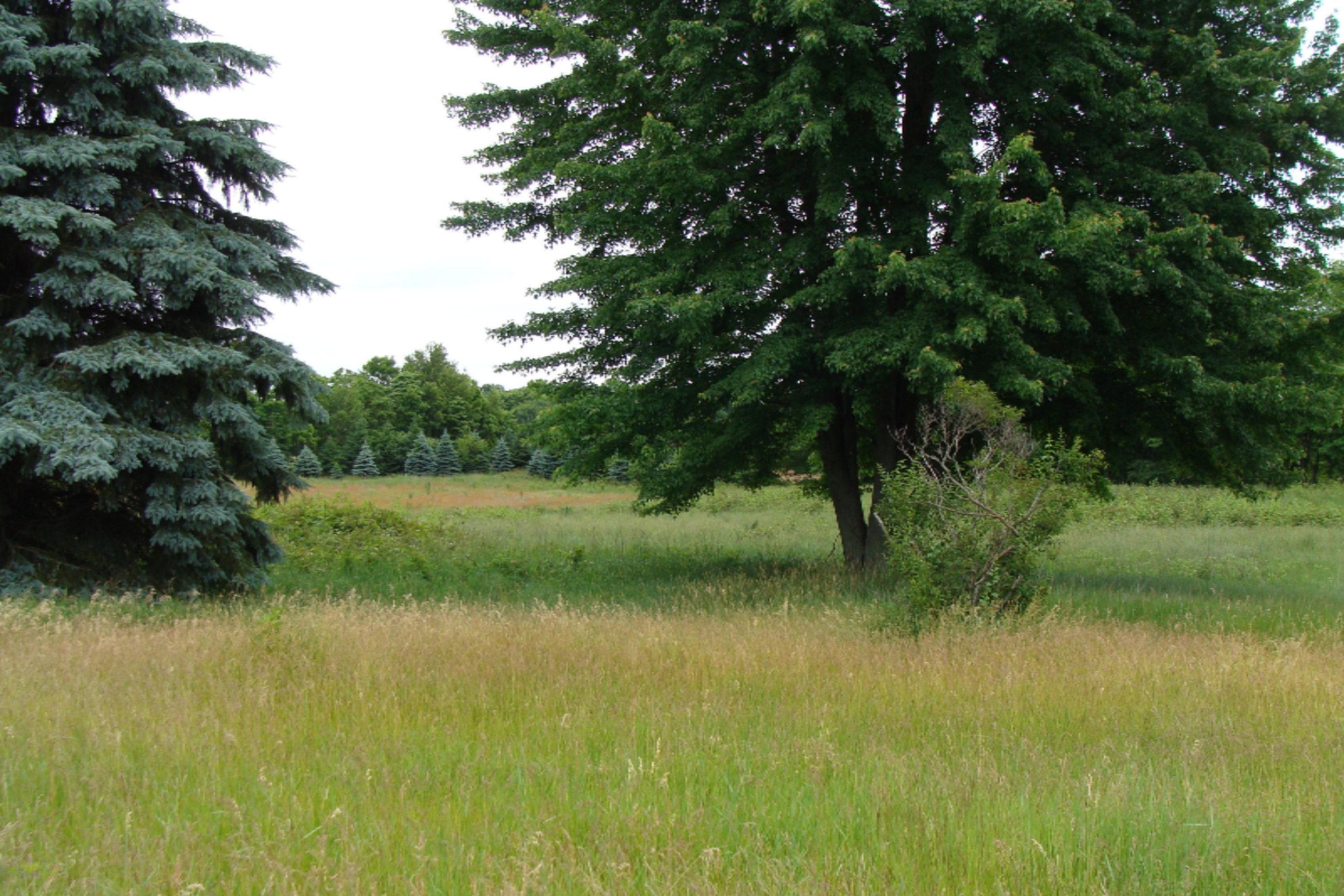 108 West Rose Road Coldwater, MI 49036 - Photo 5 of 11 DSC02153