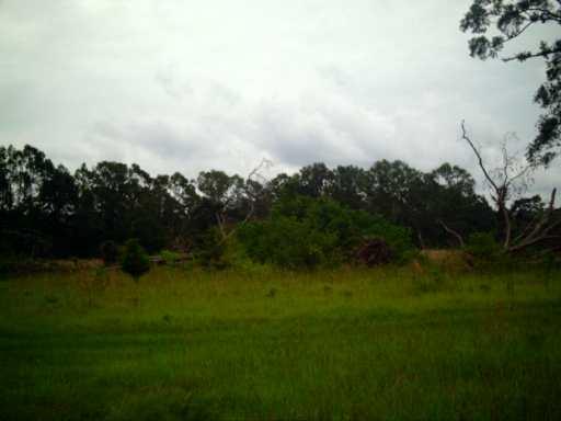 0 Boyd Davis Road Independence, LA 70443 - Photo 1 of 1 Gallery Image 1