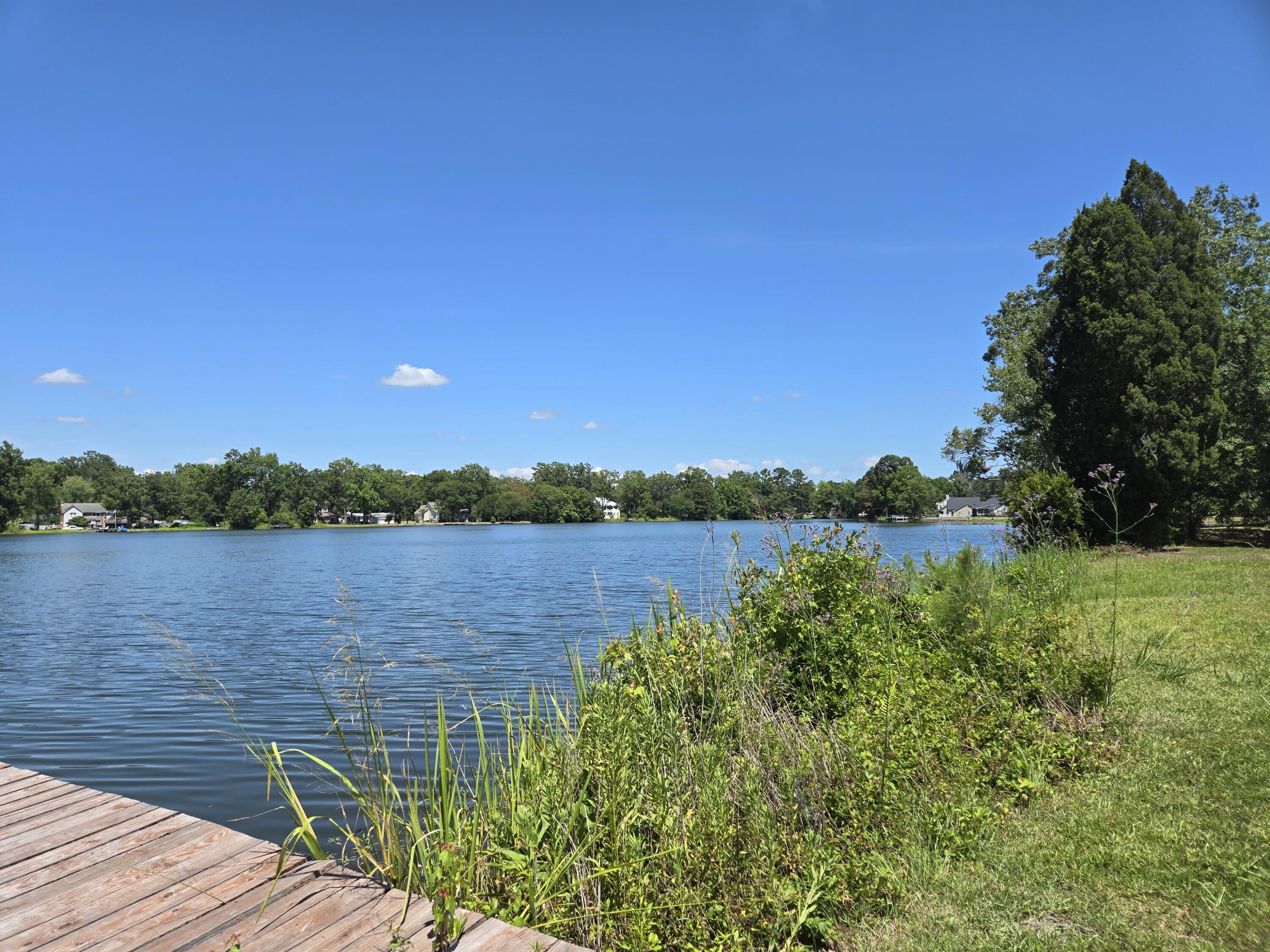 1100 Churchill Road Moncks Corner, SC 29461 - Photo 25 of 25 Relaxing and fishing