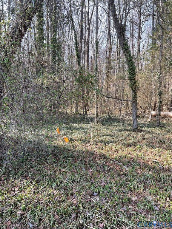 0 Laurel Park Road Tappahannock, VA 22560 - Photo 1 of 6