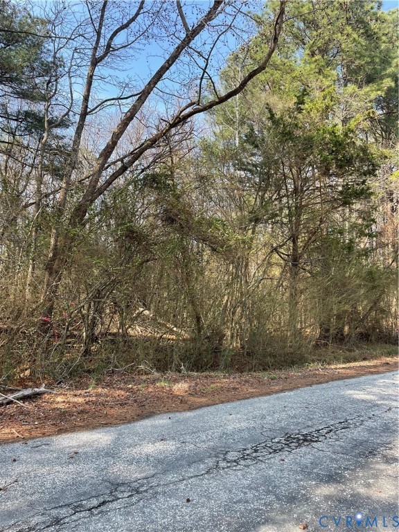 0 Laurel Park Road Tappahannock, VA 22560 - Photo 2 of 6