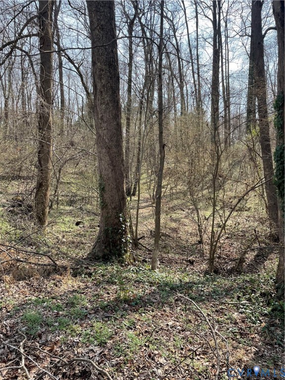 0 Laurel Park Road Tappahannock, VA 22560 - Photo 3 of 6