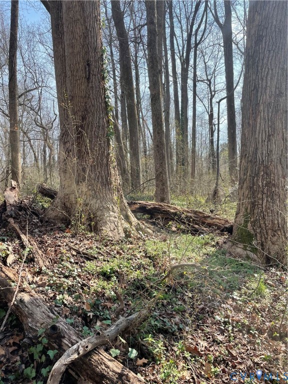 0 Laurel Park Road Tappahannock, VA 22560 - Photo 4 of 6