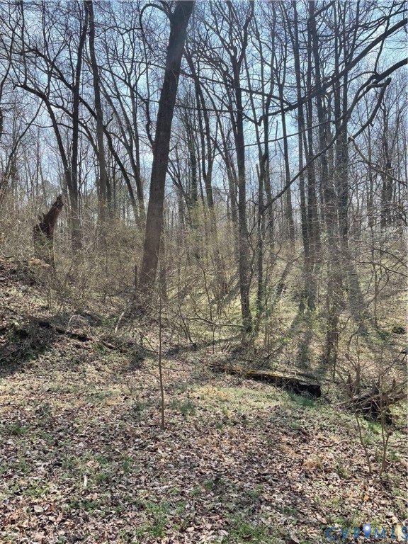 0 Laurel Park Road Tappahannock, VA 22560 - Photo 5 of 6