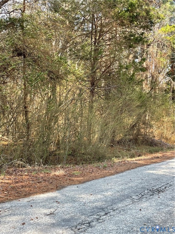 0 Laurel Park Road Tappahannock, VA 22560 - Photo 6 of 6