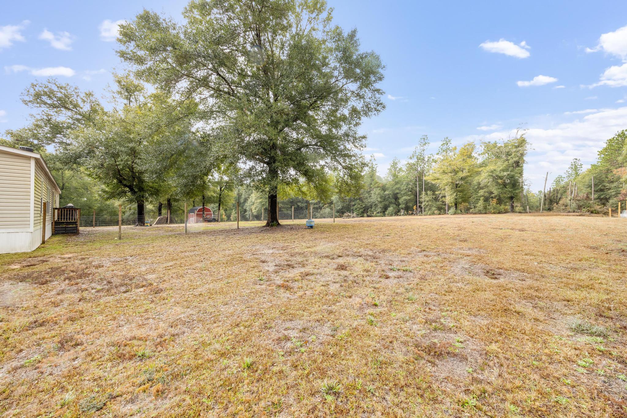 6224 Old River Road Baker, FL 32531 - Photo 29 of 35 a backyard of a house with lots of green space