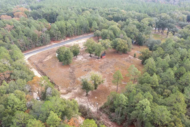 a view of a yard with a plant