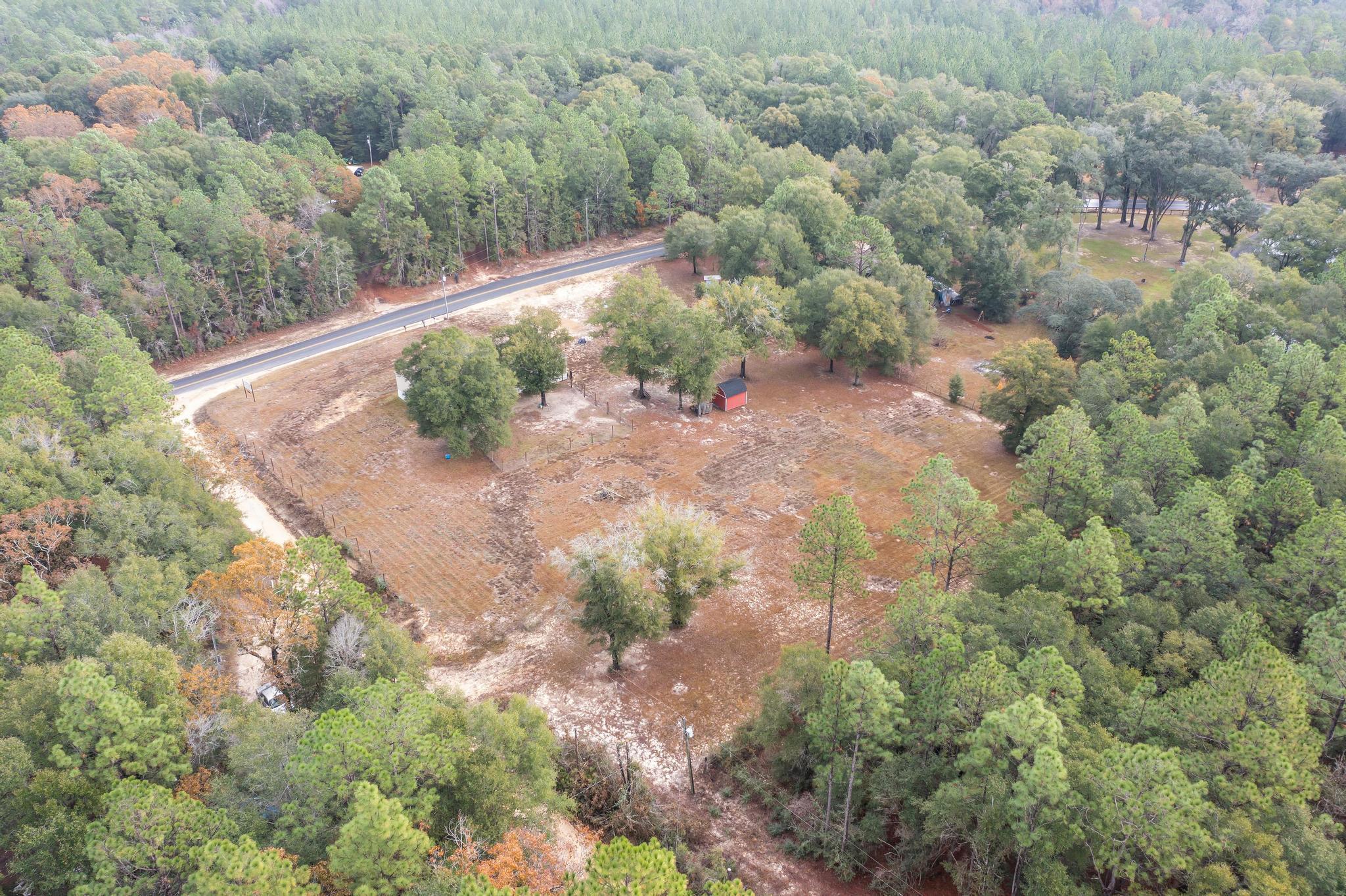 6224 Old River Road Baker, FL 32531 - Photo 34 of 35 a view of a yard with a plant