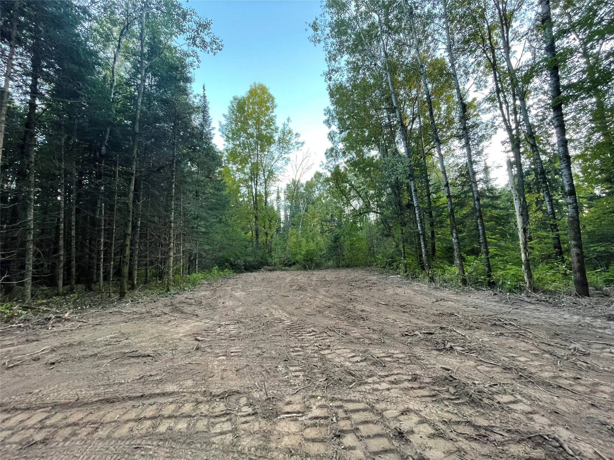 Lot 3 Fadness Road Winter, WI 54896 - Photo 6 of 19 Gallery Image 6