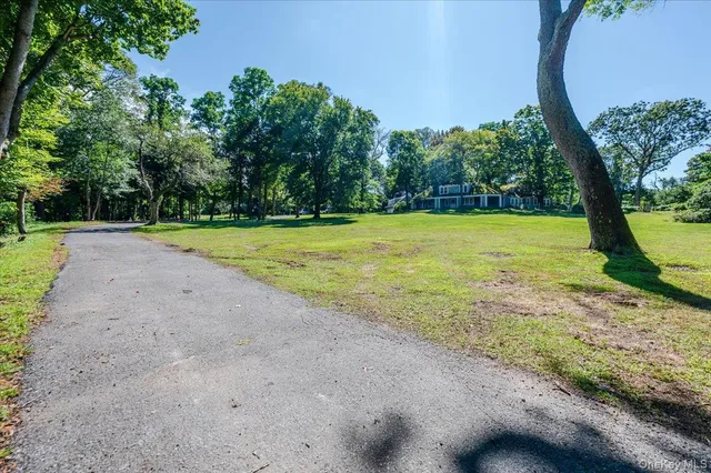 a view of a yard with a tree