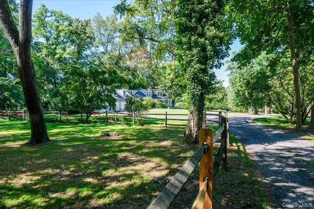 a view of a park with large trees