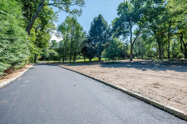 a view of a backyard with large trees