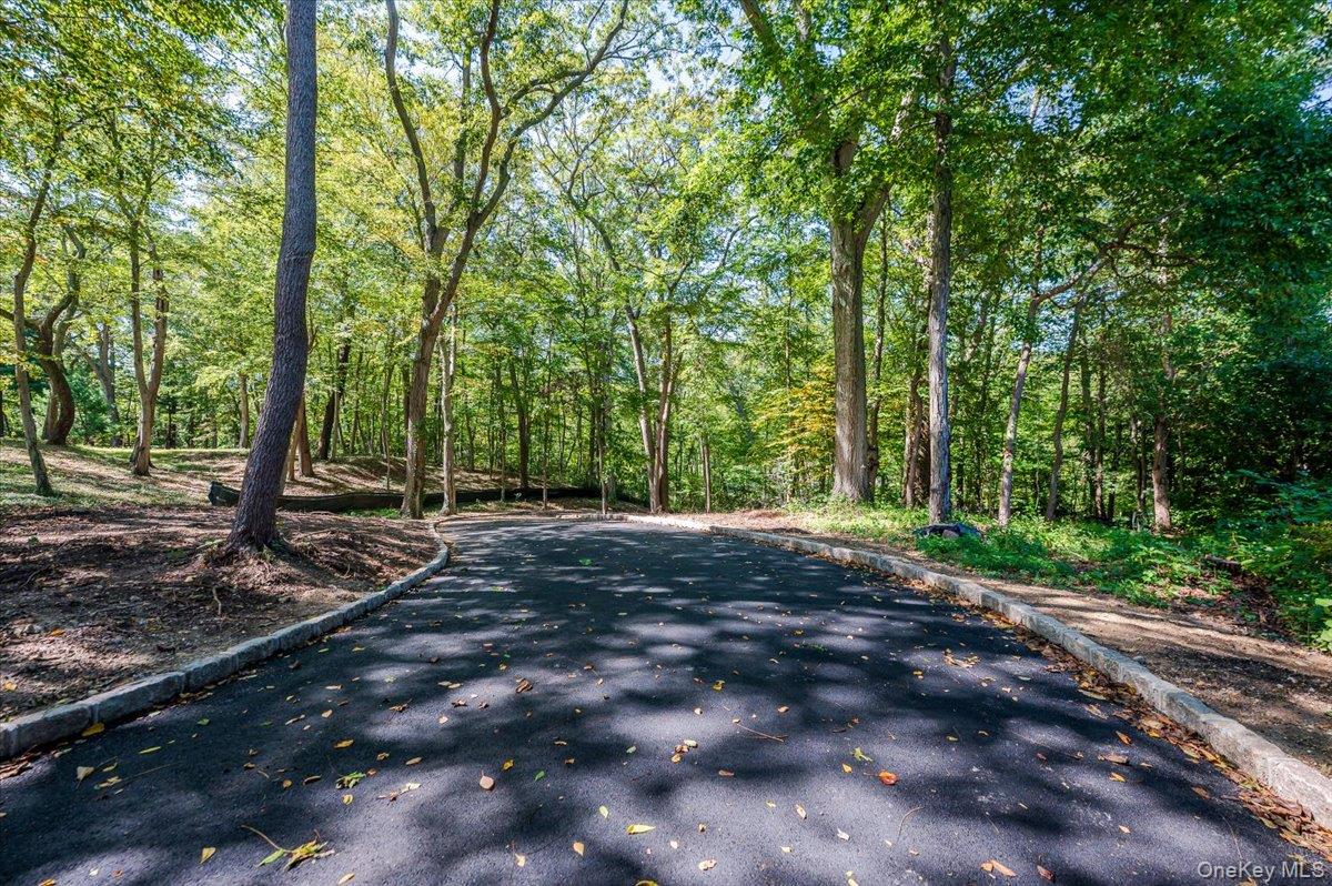 34 Yellow Cote Road Oyster Bay, NY 11771 - Photo 17 of 19 a view of a backyard with large trees