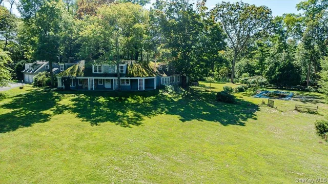 a view of a garden with plants and large trees
