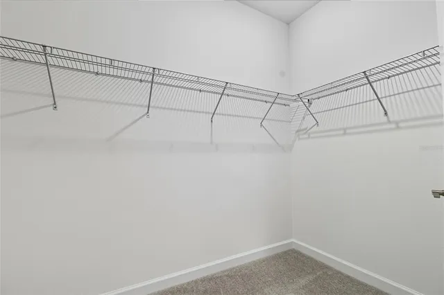 a bathroom with a shower sink and mirror