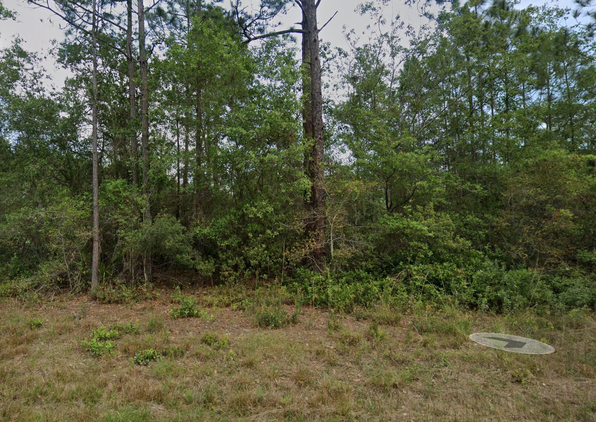 124 Roebuck Road Georgetown, FL 32139 - Photo 1 of 5 Home Sweet Home
