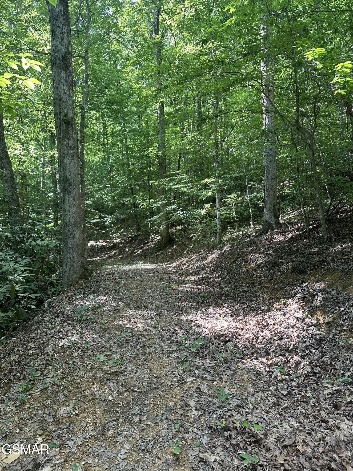 0 Little Bear Road Cosby, TN 37722 - Photo 23 of 46 Gallery Image 23