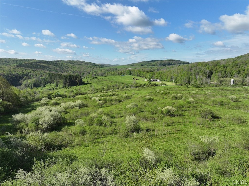 Shaffer Road Cuba, NY 14727 - Photo 8 of 11