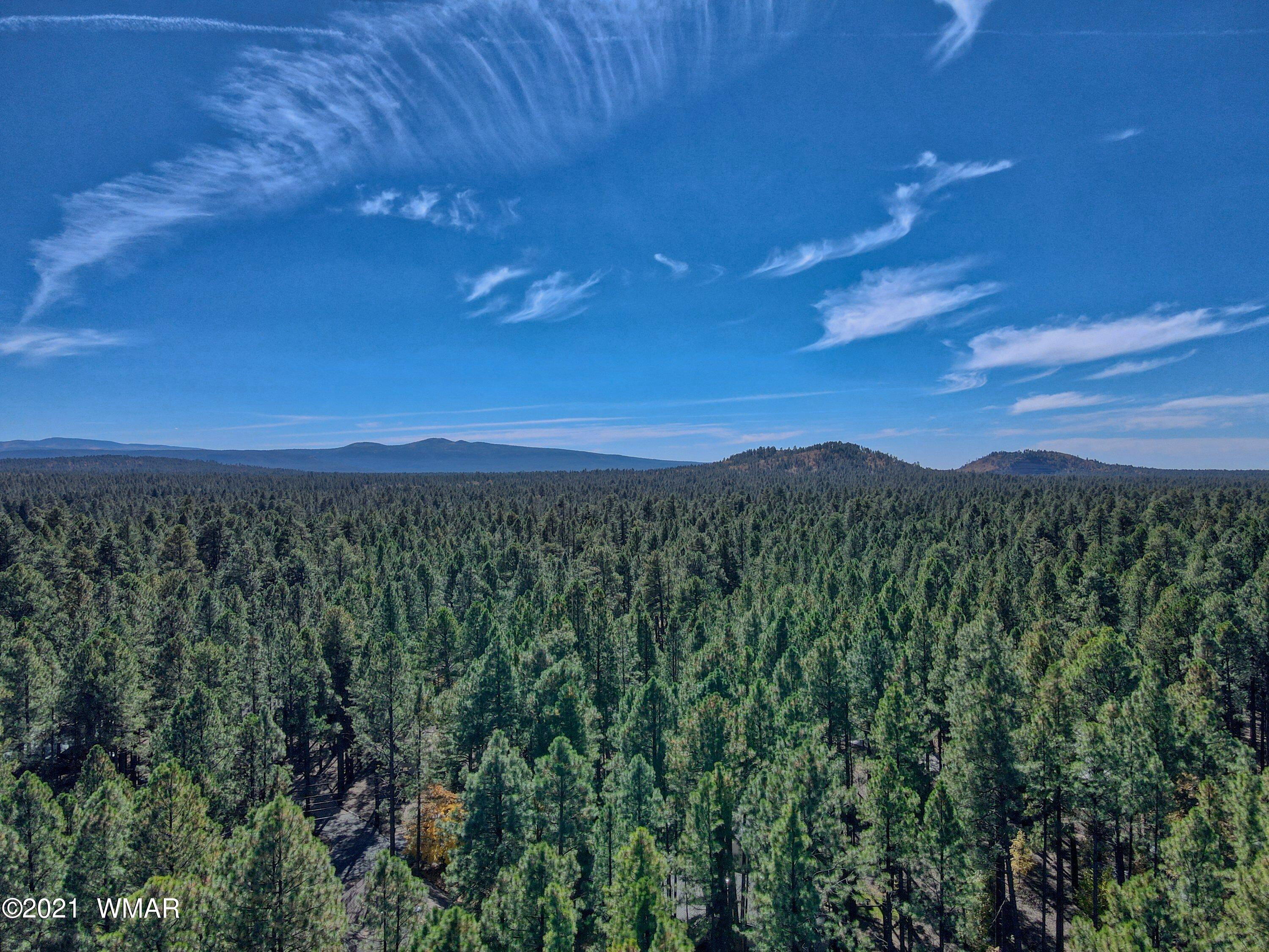 8407 Eagle Point Road Pinetop, AZ 85935 - Photo 3 of 28 Gallery Image 3