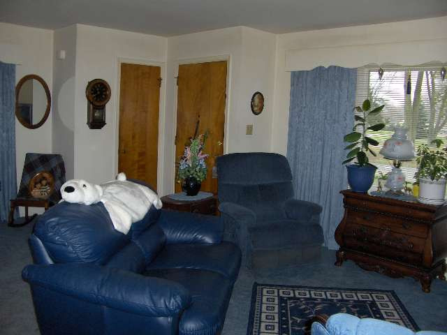 1528 Devonshire Road Jackson, MI 49203 - Photo 4 of 5 Photo 4