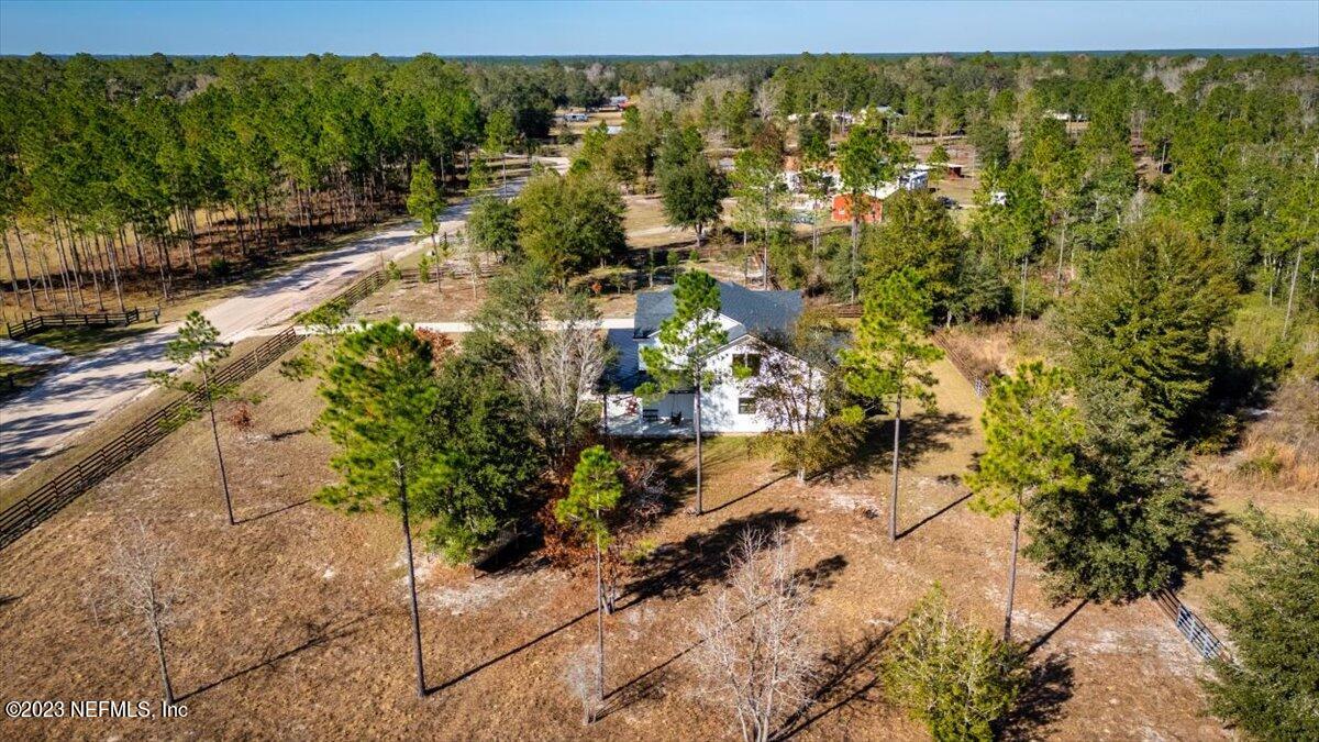 3200 Jane Lane Hilliard, FL 32046 - Photo 51 of 72 a view of a yard with plants and large trees