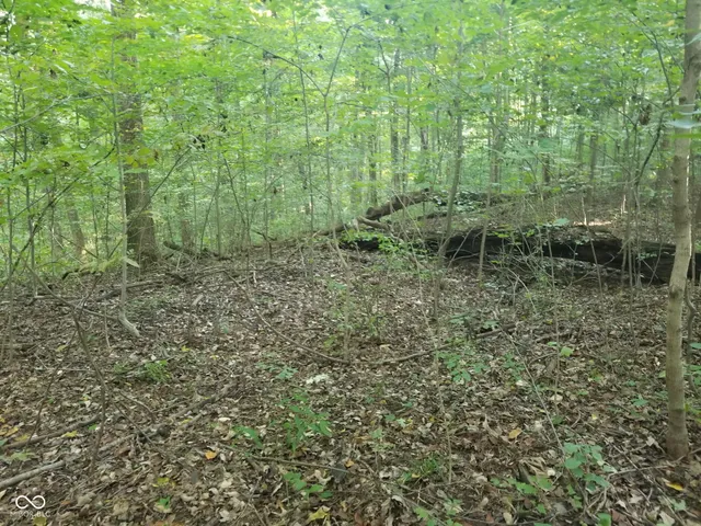 $39,900 | 228 Victory, Coatesville, IN 46121