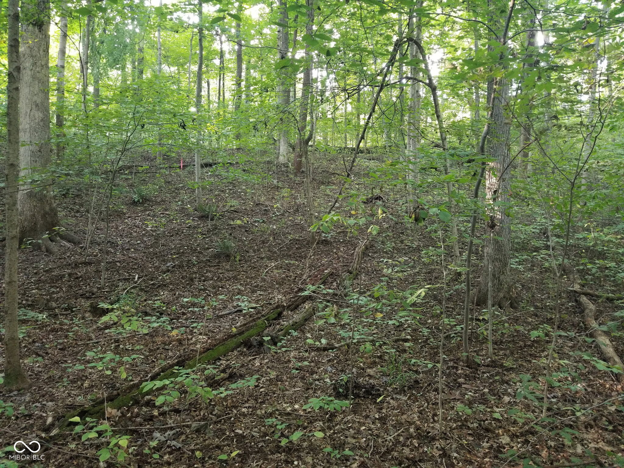 228 Victory Coatesville, IN 46121 - Photo 2 of 7