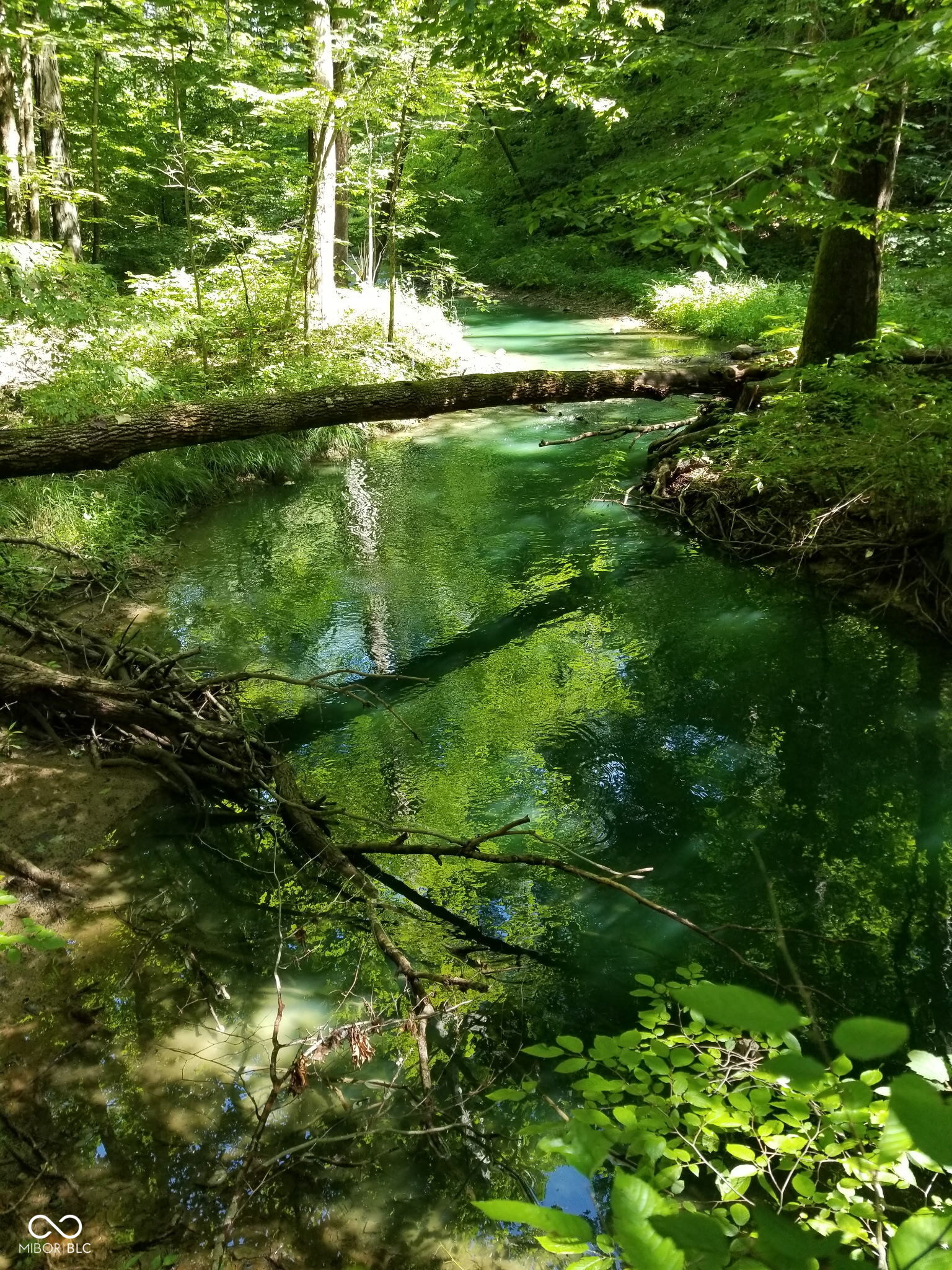 228 Victory Coatesville, IN 46121 - Photo 3 of 7