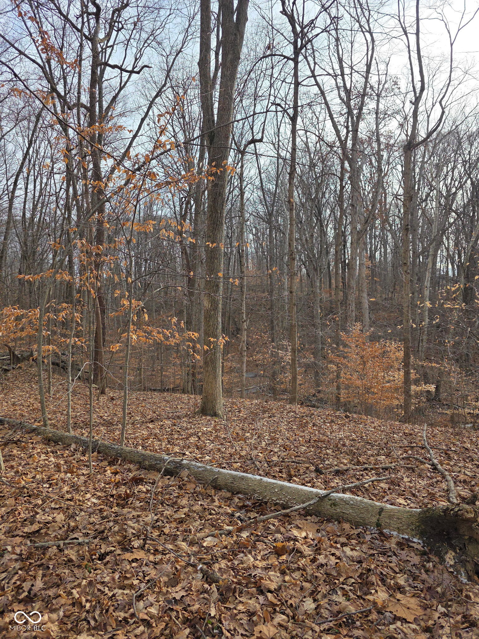 228 Victory Coatesville, IN 46121 - Photo 6 of 7