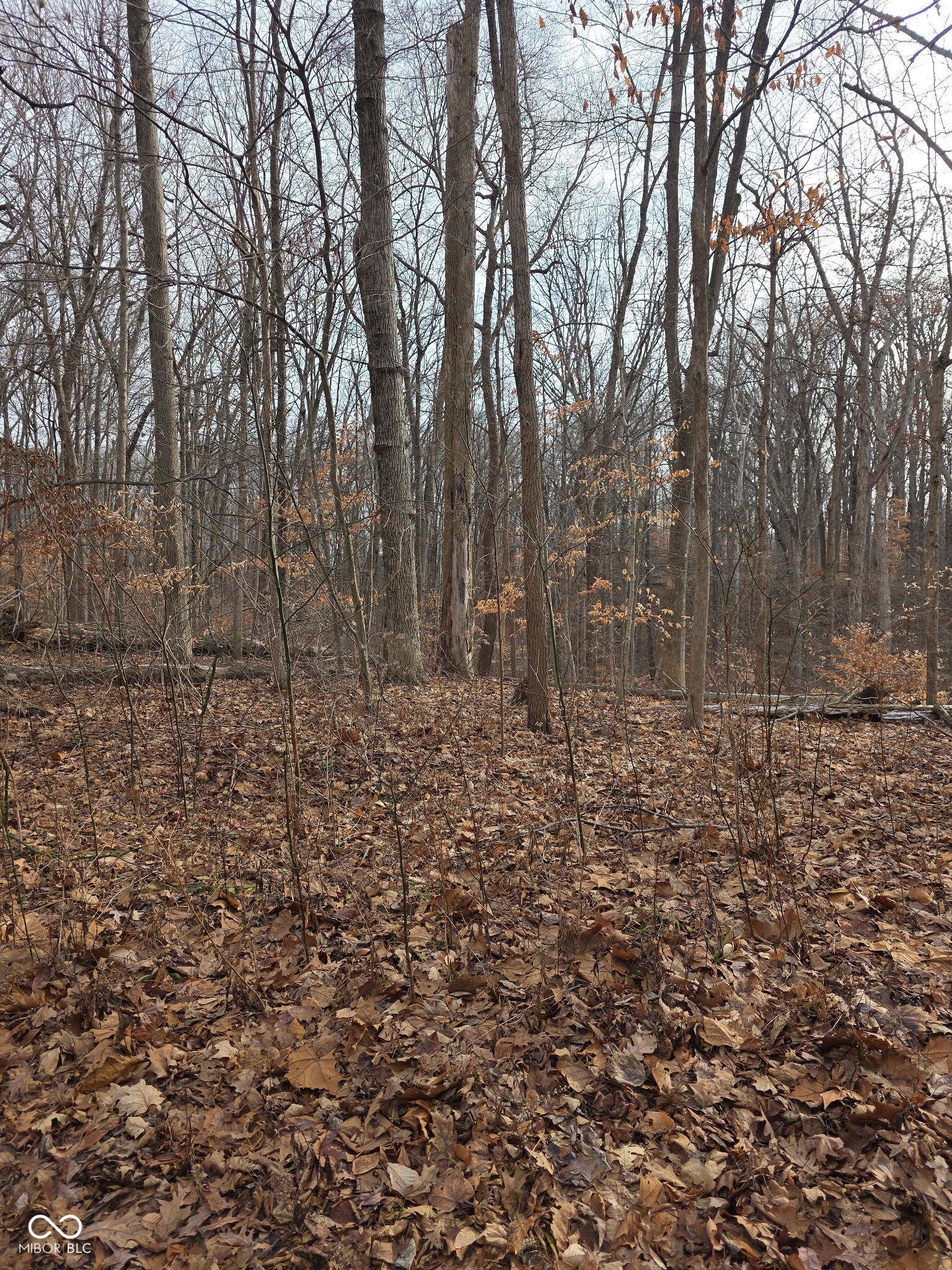 228 Victory Coatesville, IN 46121 - Photo 7 of 7