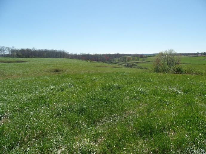 6 Walkertown Road Pikeville, TN 37367 - Photo 8 of 10 SAM_1341