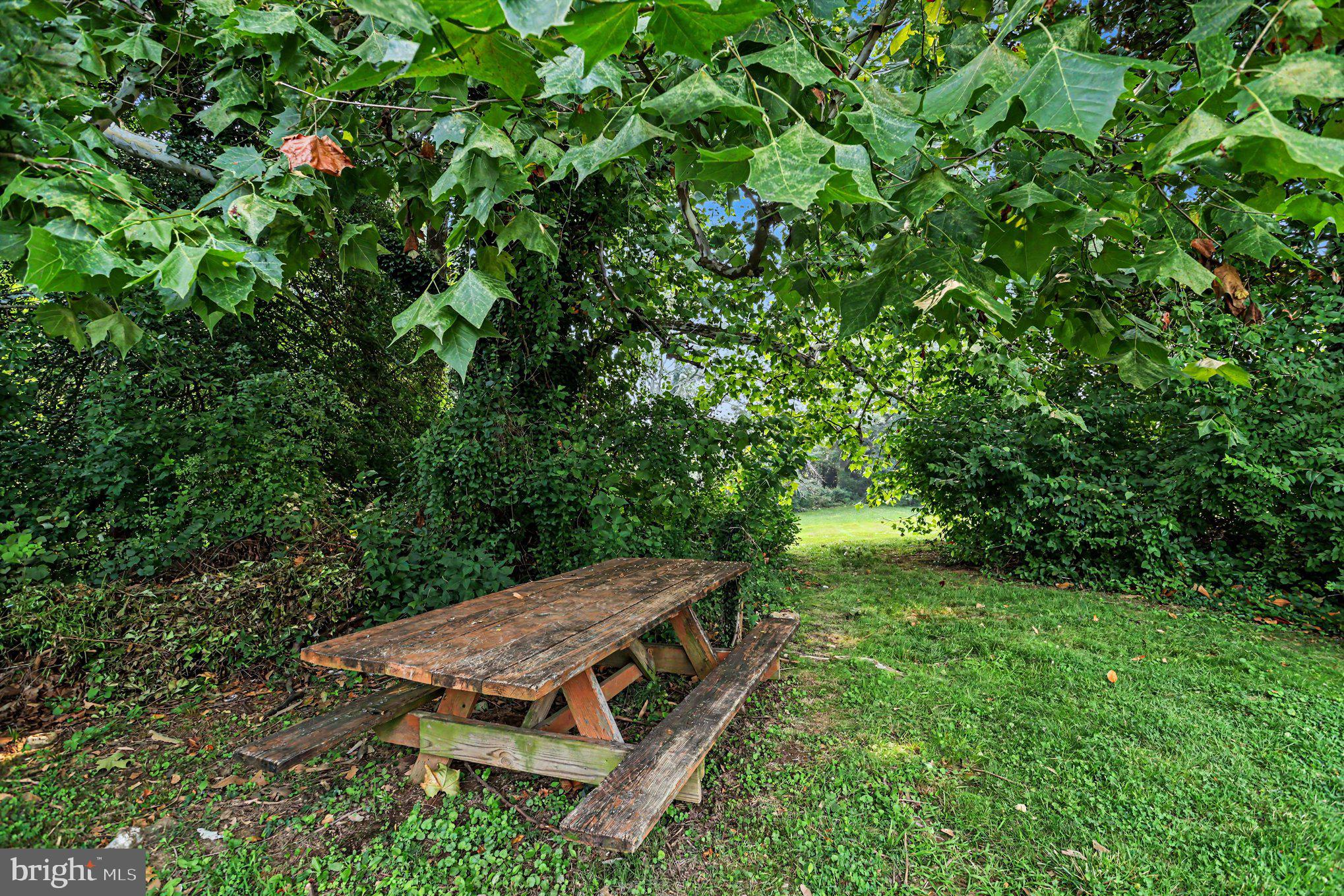 5912 Shady Spring Avenue Baltimore, MD 21237 - Photo 15 of 75 Shaded retreat for nature lovers.