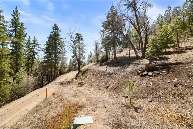 a backyard of a house with large trees