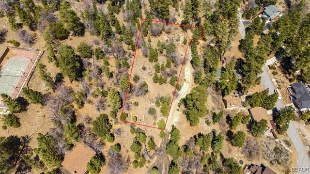 a close up of a plant