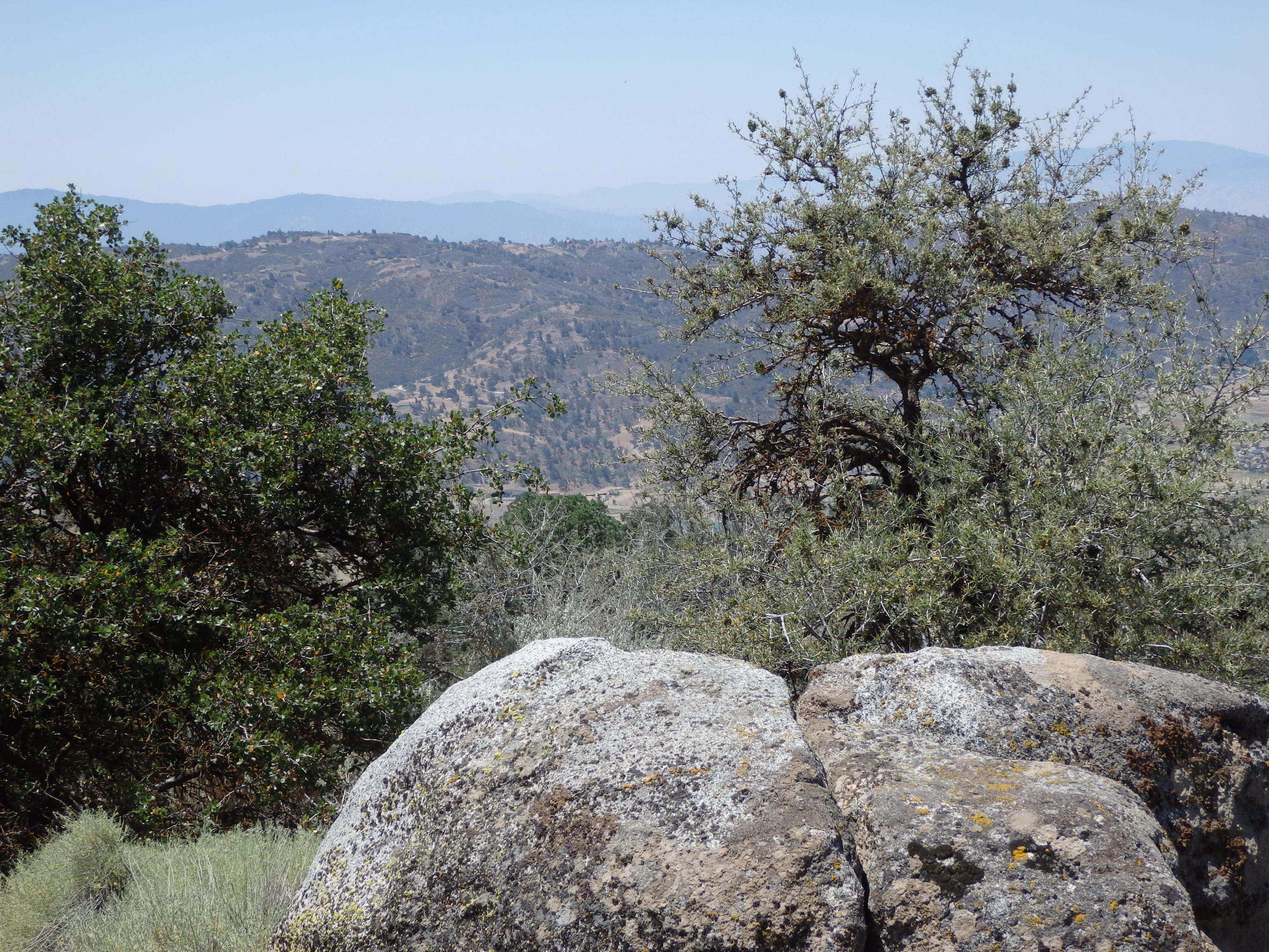 25170 Paramount Drive Tehachapi, CA 93561 - Photo 11 of 20 a view of a backyard of a house