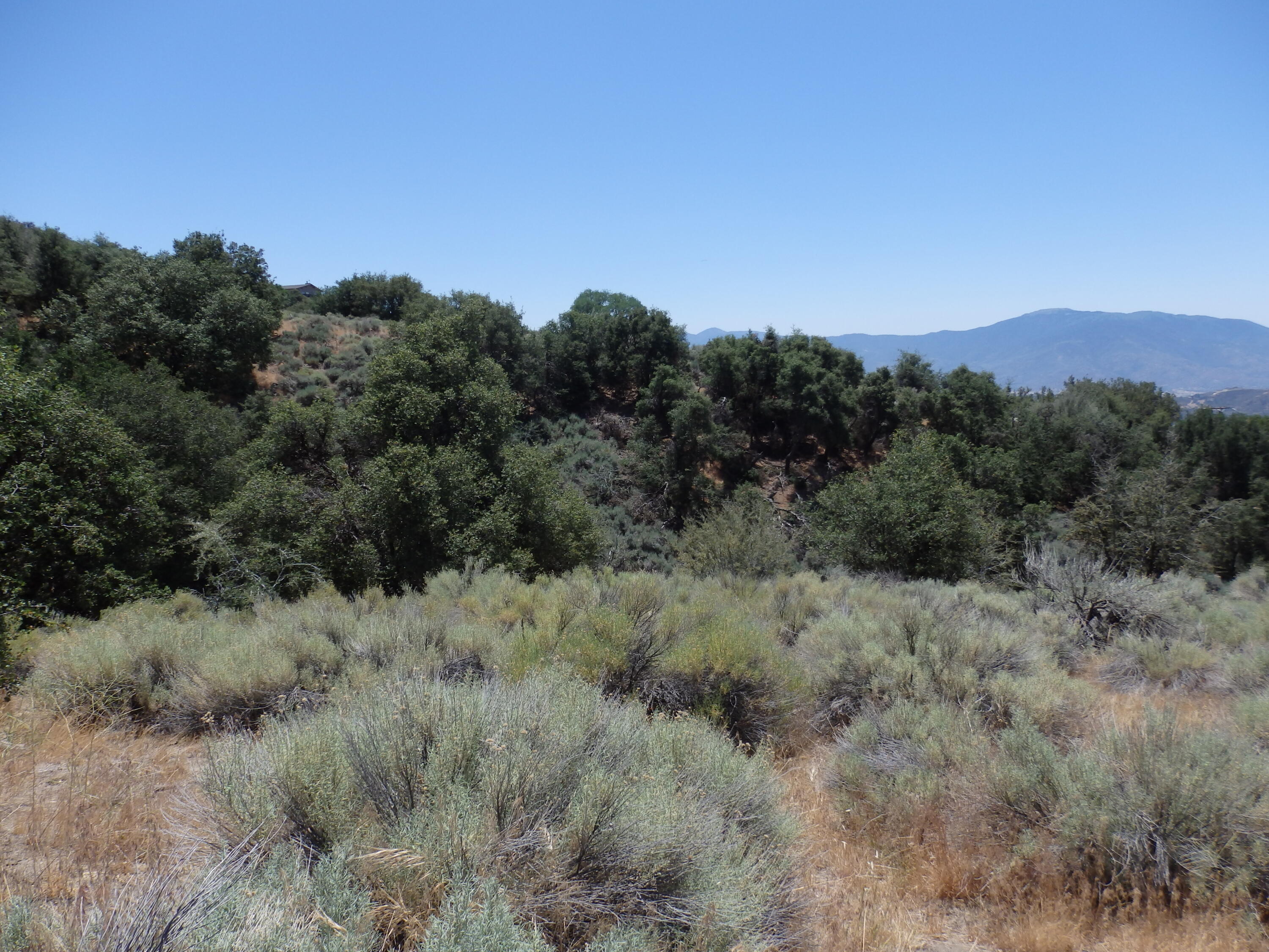 25170 Paramount Drive Tehachapi, CA 93561 - Photo 12 of 20 a view of a dry field