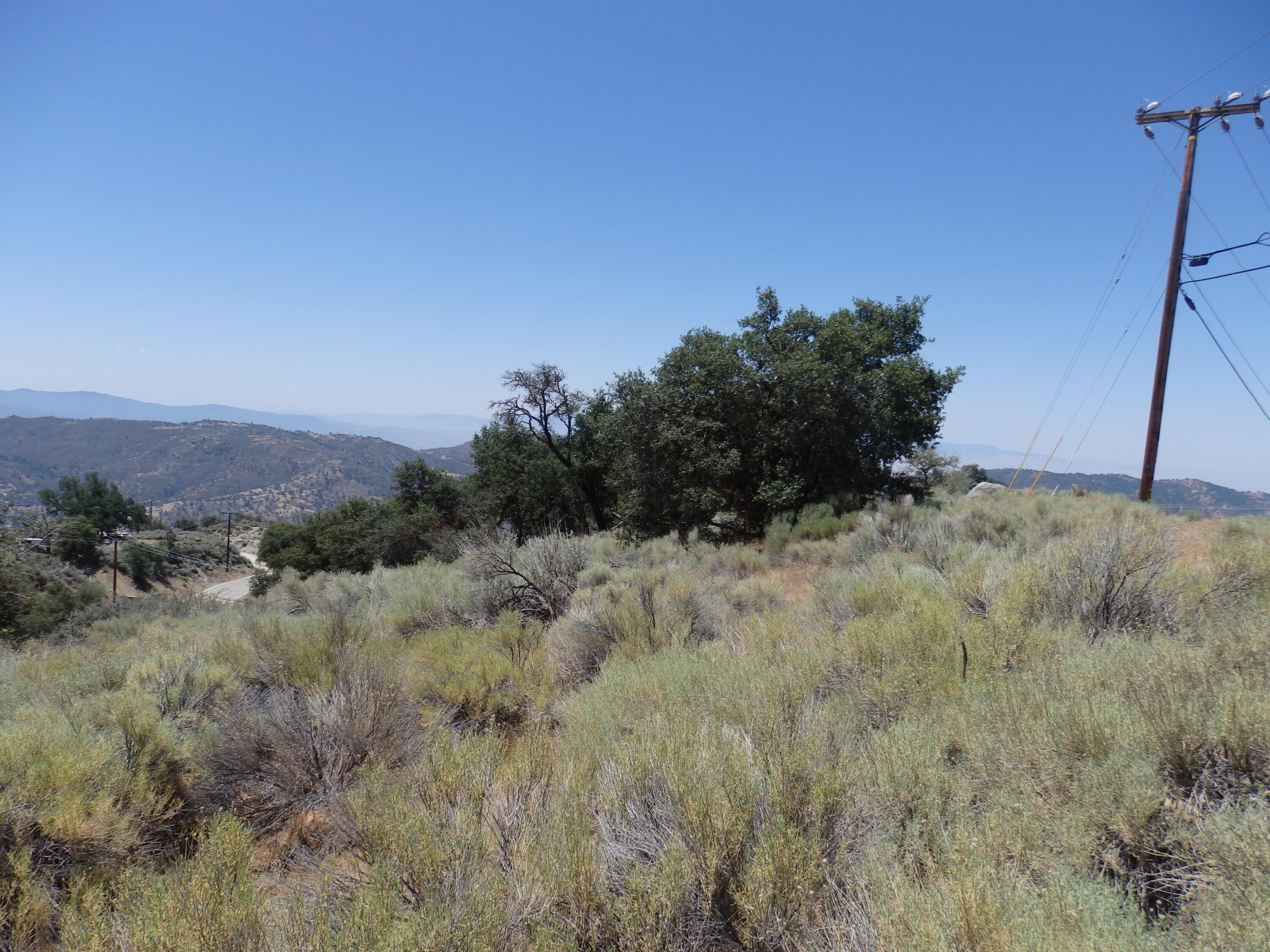 25170 Paramount Drive Tehachapi, CA 93561 - Photo 13 of 20 a view of a dry yard
