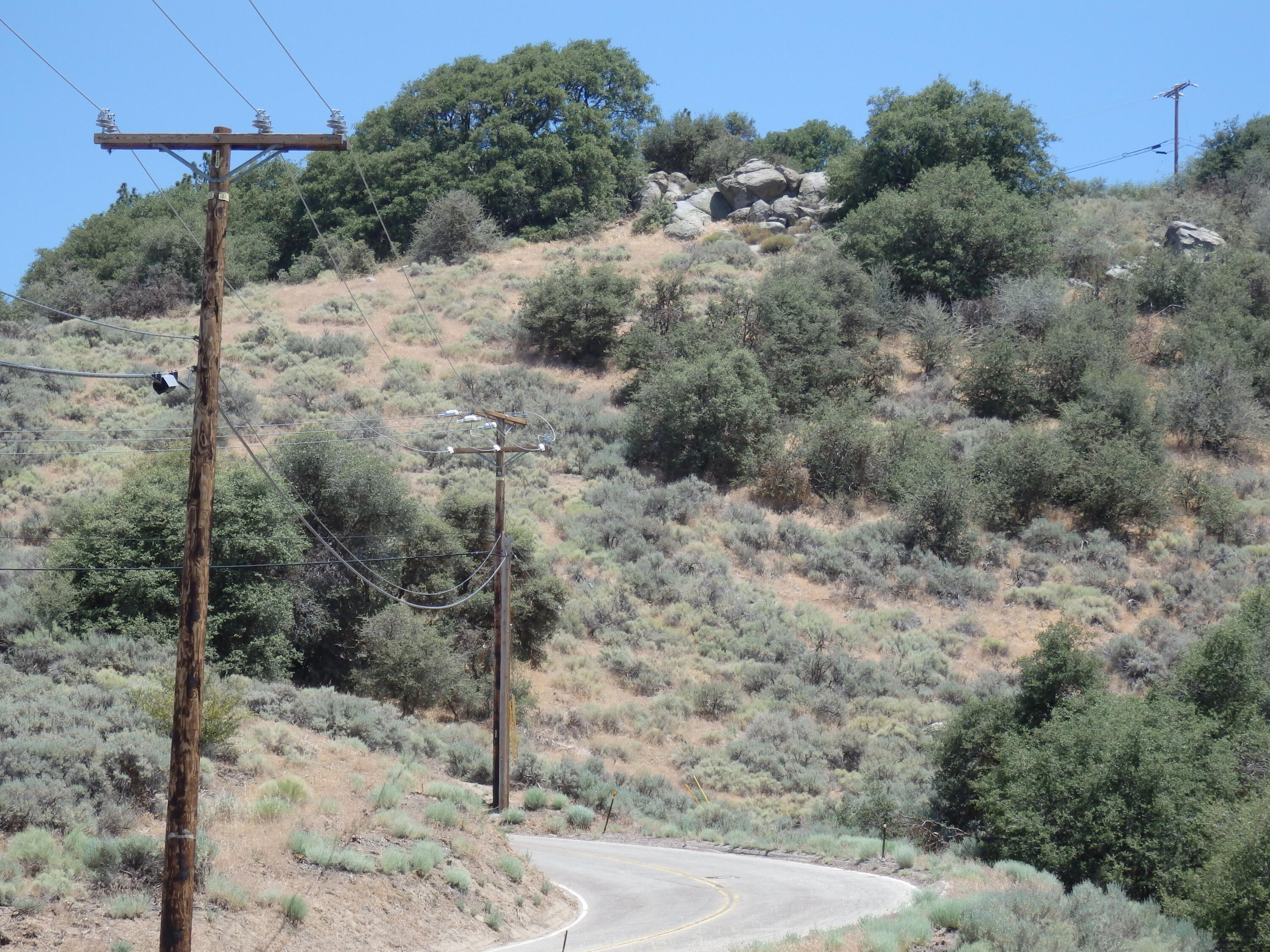 25170 Paramount Drive Tehachapi, CA 93561 - Photo 14 of 20 a view of a yard
