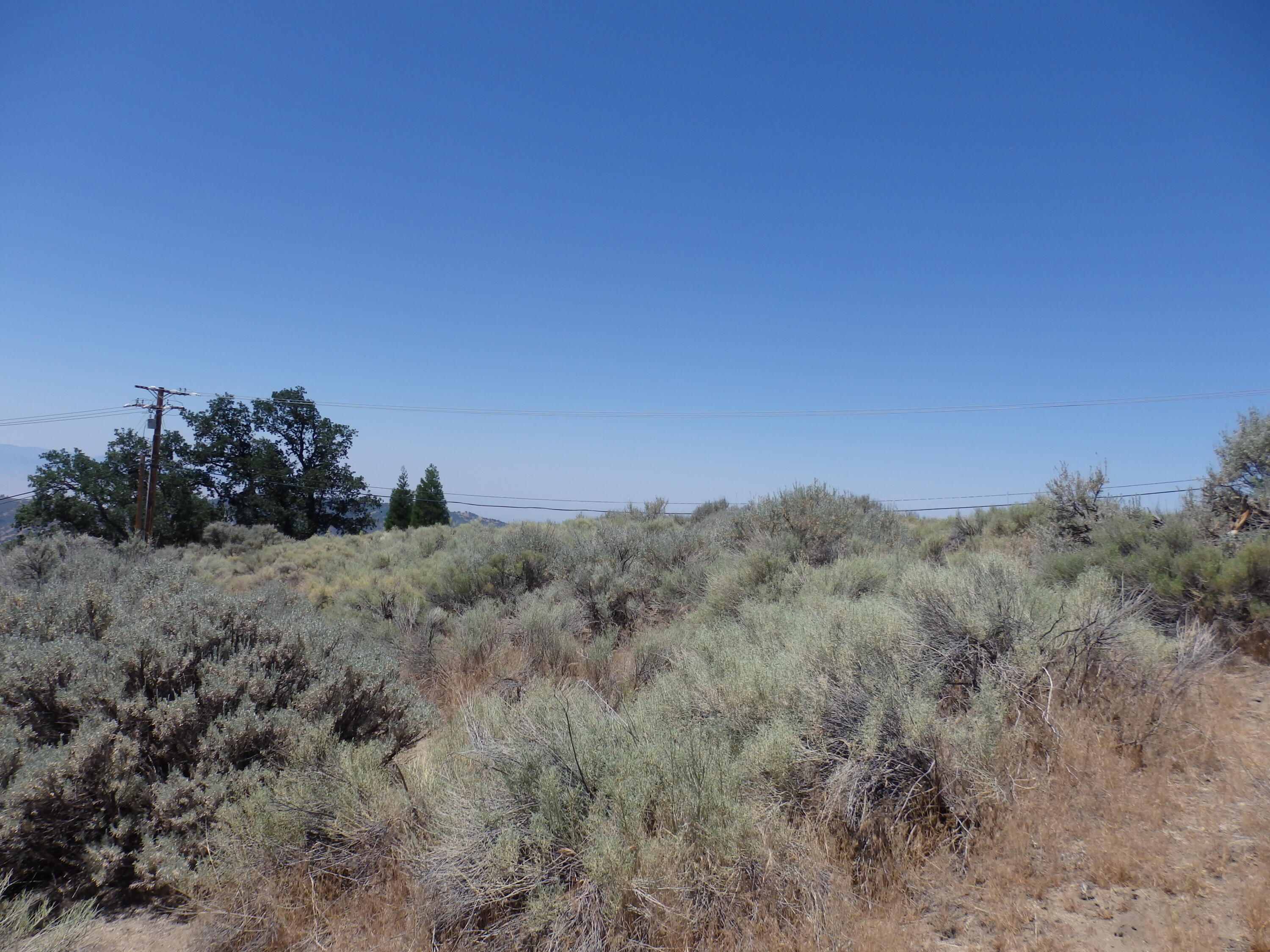 25170 Paramount Drive Tehachapi, CA 93561 - Photo 15 of 20 a view of a dry field