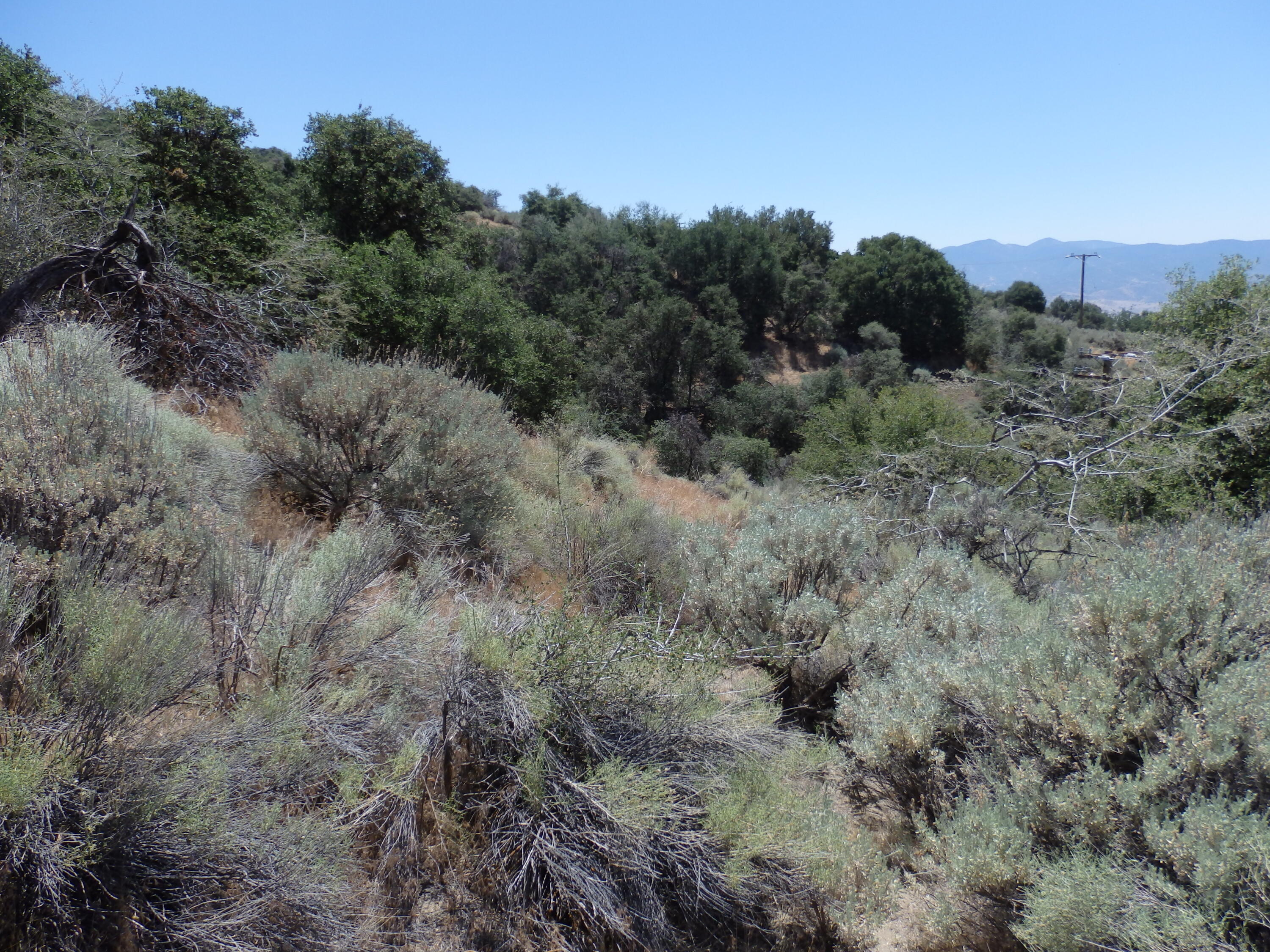 25170 Paramount Drive Tehachapi, CA 93561 - Photo 17 of 20 a view of a dry field