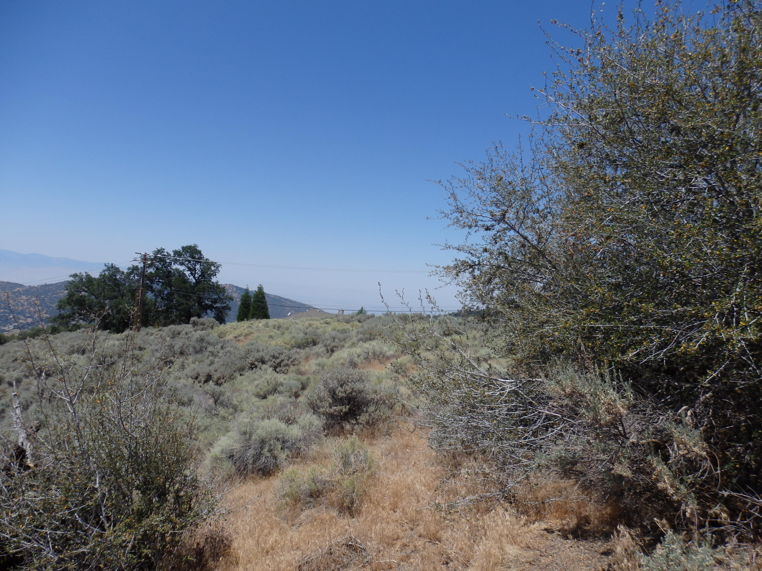 25170 Paramount Drive Tehachapi, CA 93561 - Photo 18 of 20 a view of a dry field