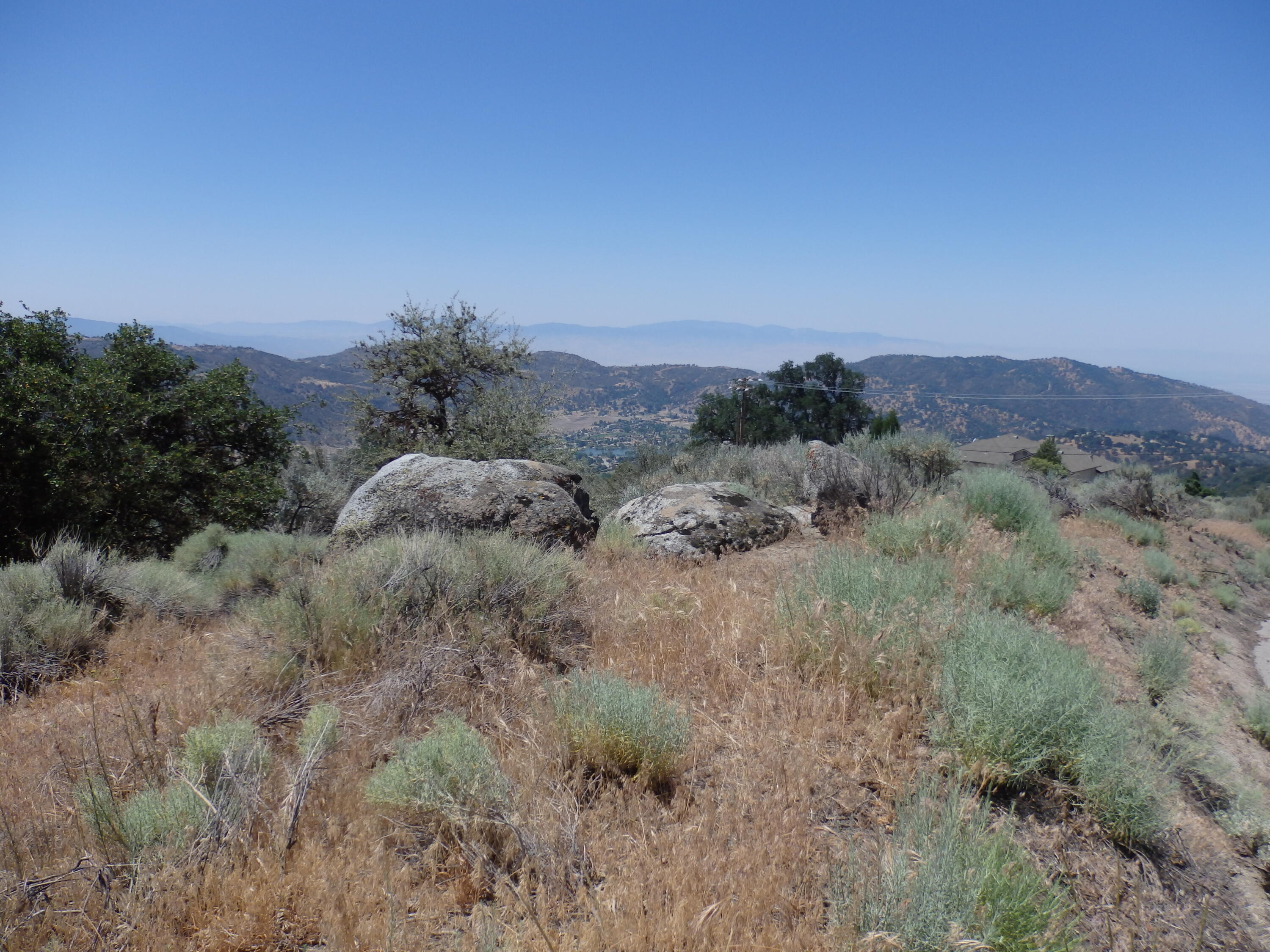 25170 Paramount Drive Tehachapi, CA 93561 - Photo 4 of 20 a view of a dry yard with trees in the background
